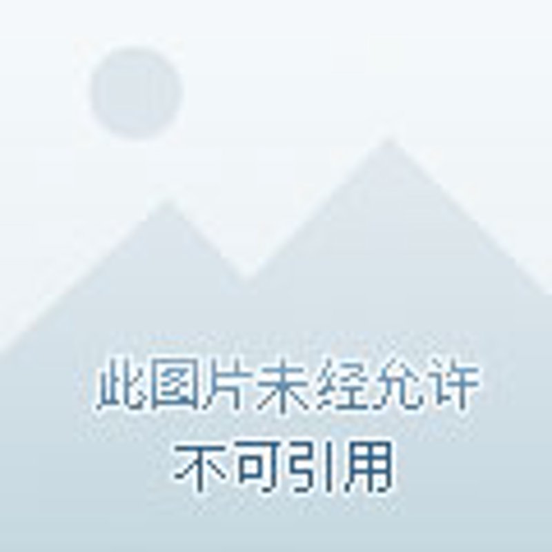 新能源产业在贵阳：蓬勃发展的新动力